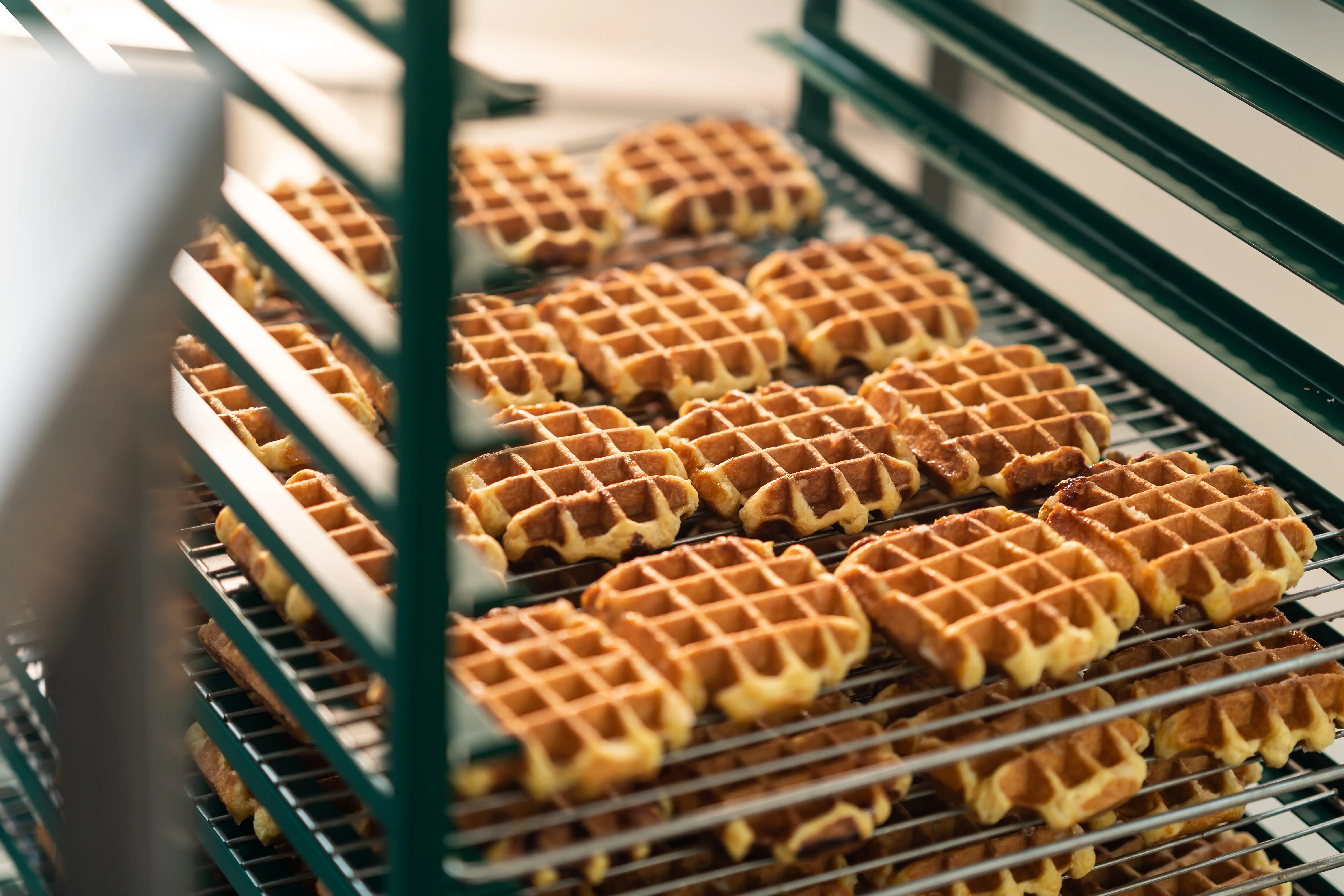 Production de gaufres Gofrino